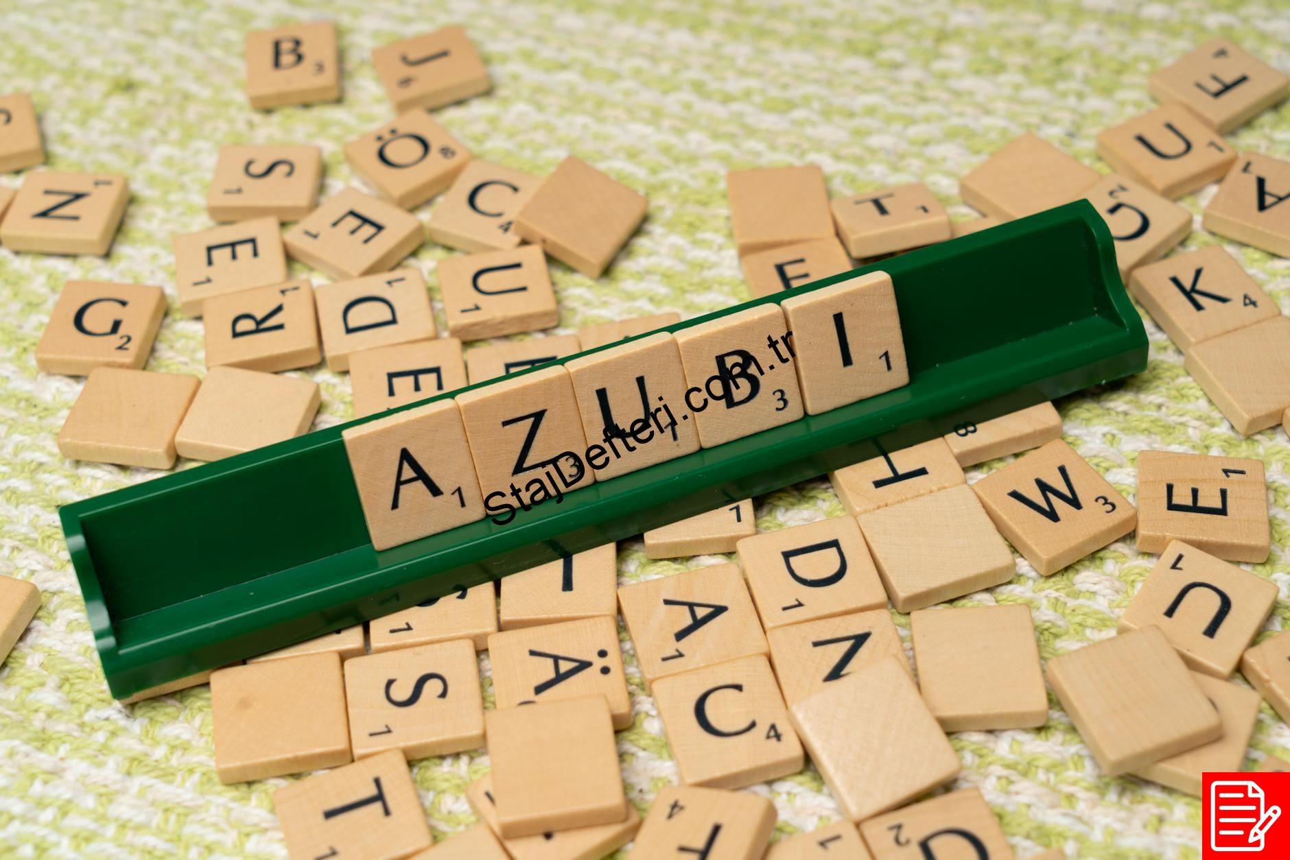 Adalet 30 Günlük Staj Defteri Örnekleri