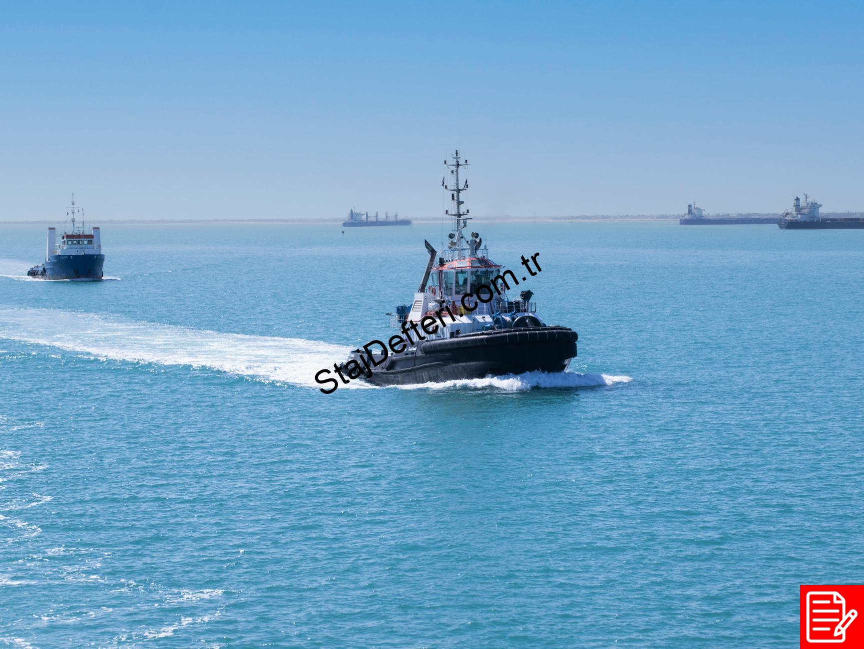 dış ticaret staj defteri örneği