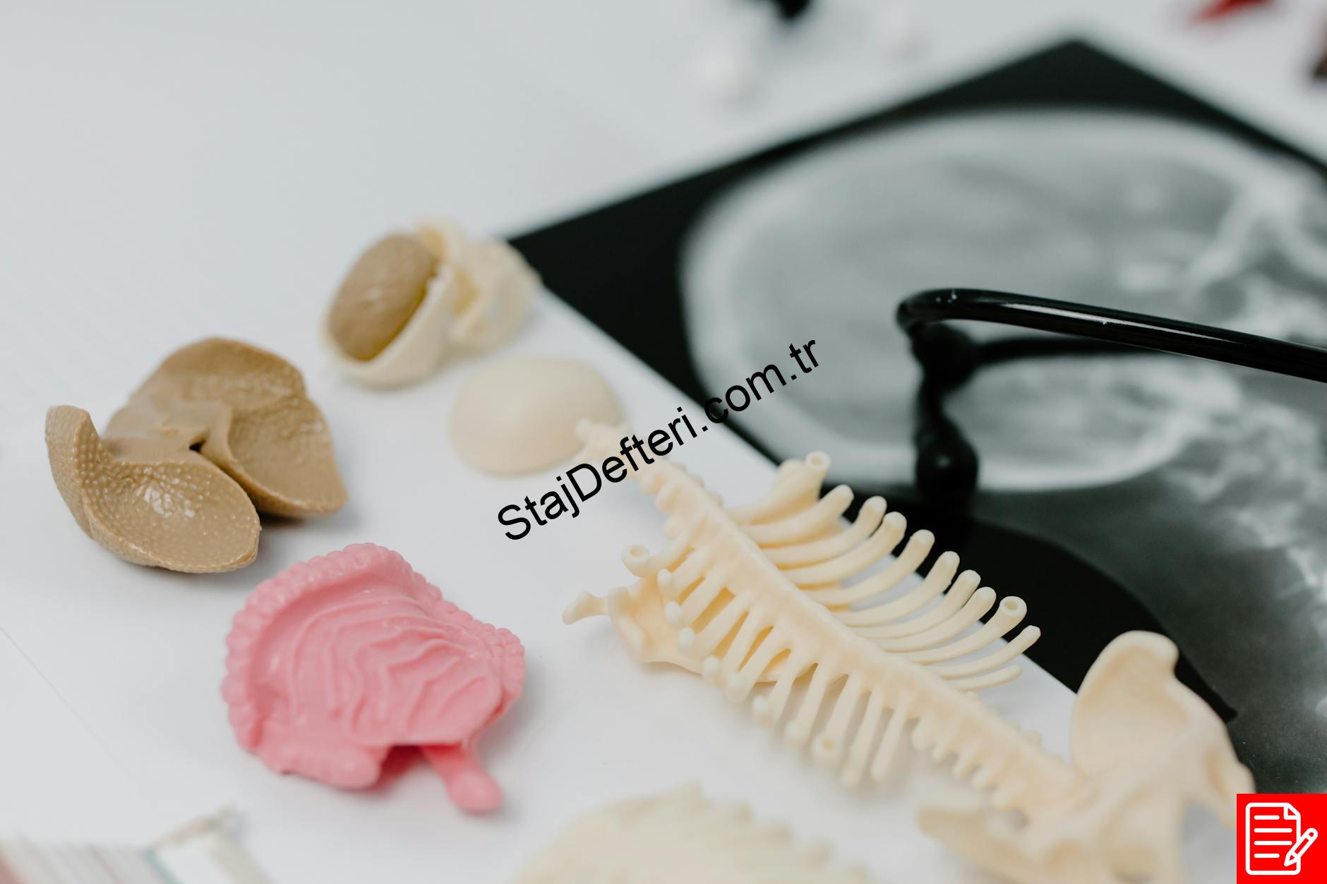 Staj Defterine Eklenmesi Gereken Bilgiler