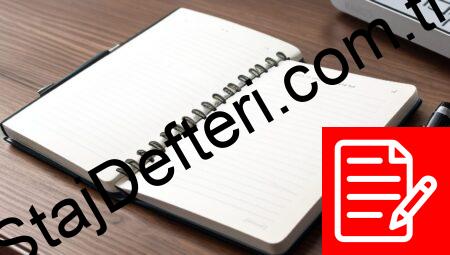 İSG Staj Defteri Örneği PDF