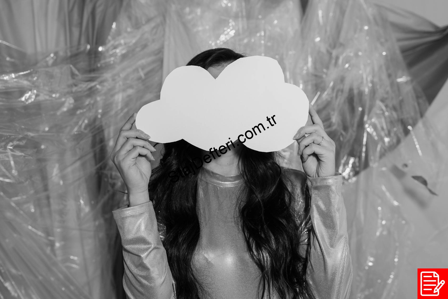 Staj Defteri Doldurma Örneği