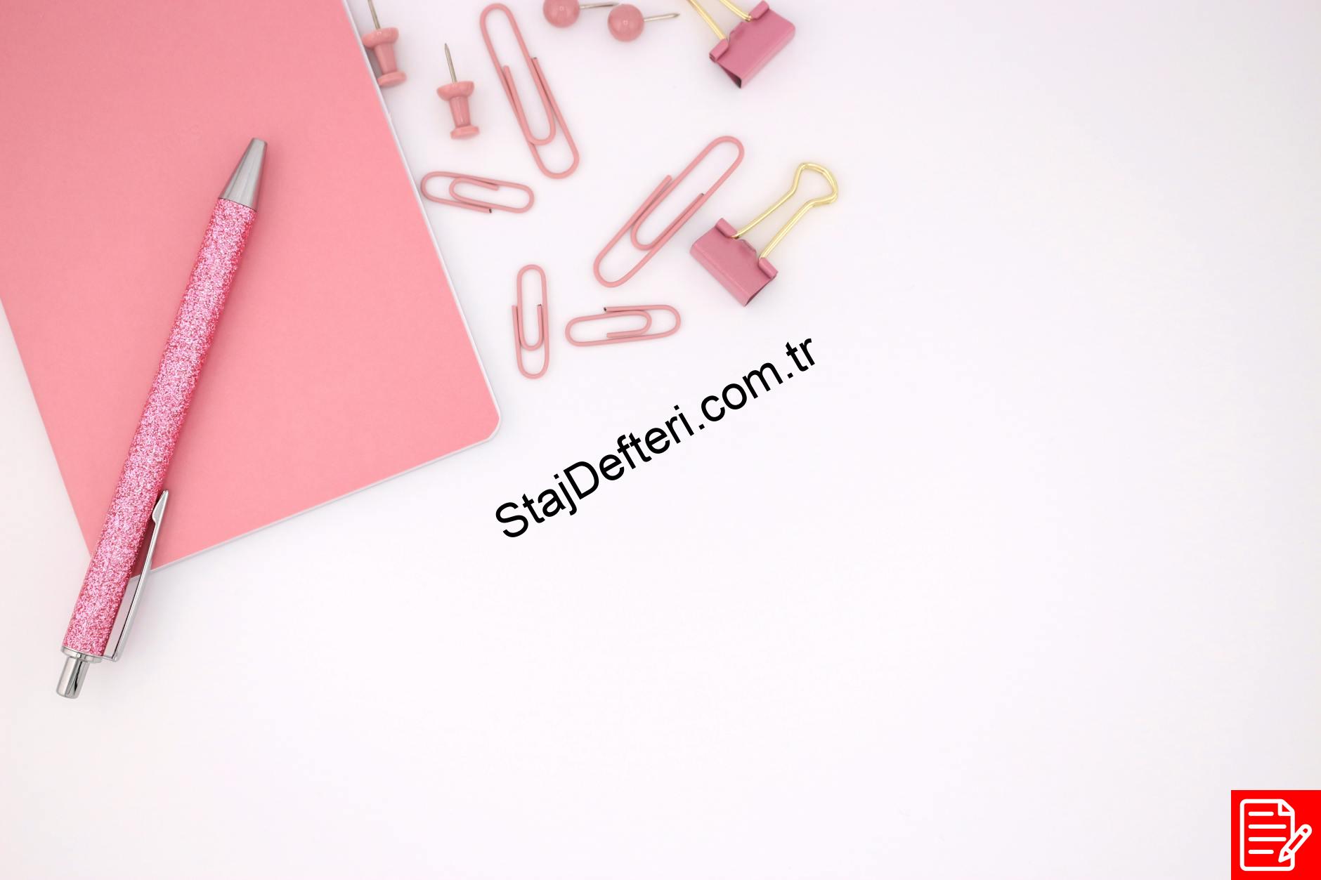 Staj Defteri Hangi Renk Kalemle Yazılır