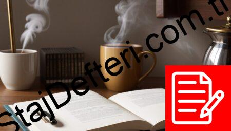 Adalet MYO Staj Defteri Örnekleri