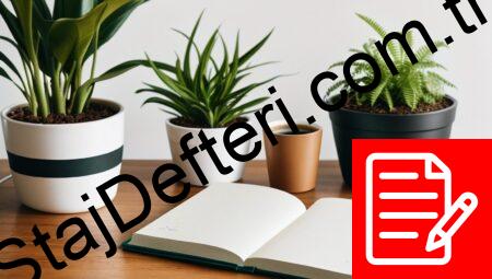 Enerjisa Staj Defteri