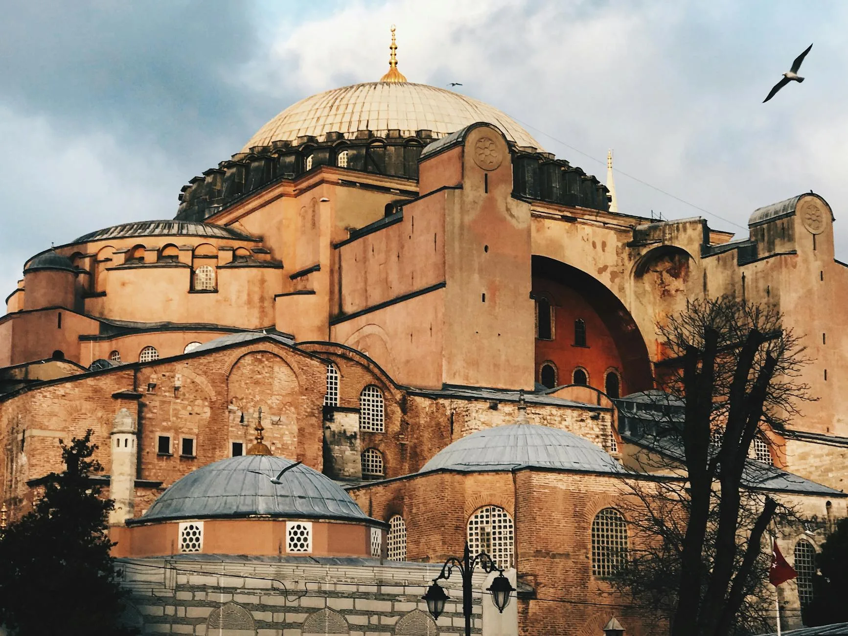 Ağız ve Diş Sağlığı Staj Defteri