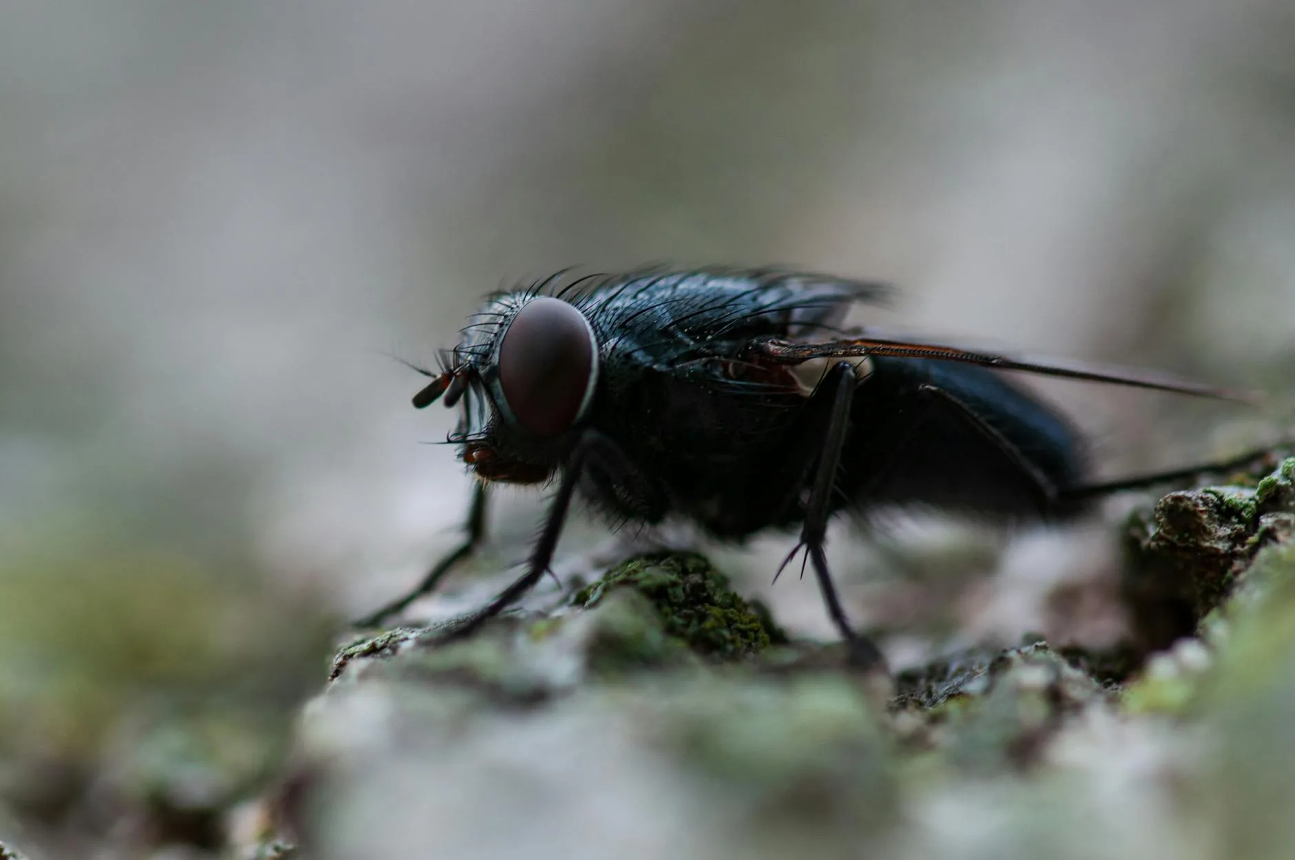 Mali Müşavir Staj Defteri Doldurma Örneği