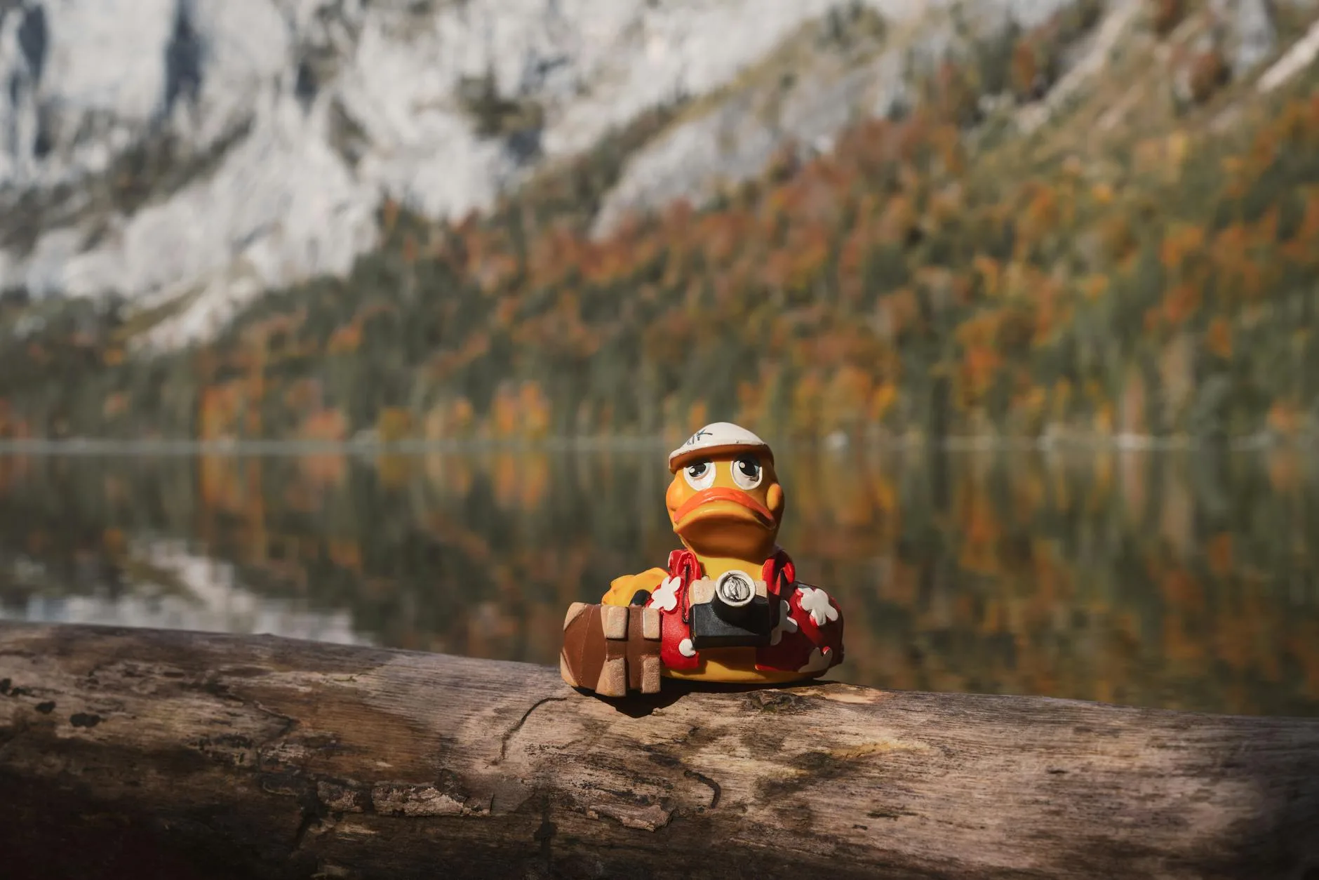 Muhasebe Staj Defteri Doldurma Örneği Üniversite