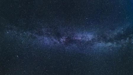 Staj Defteri Kaybolursa Ne Olur?