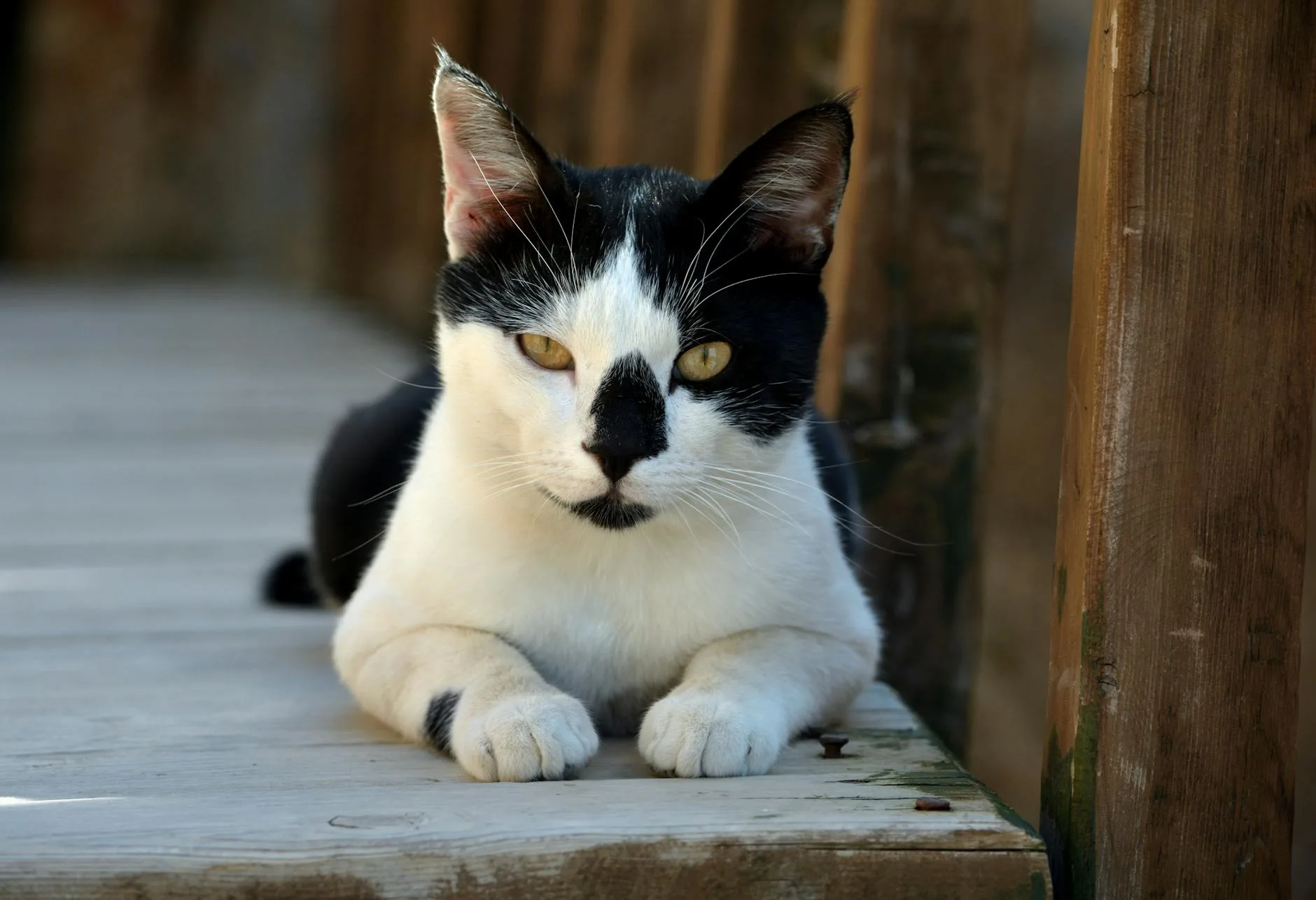 Tavsiye.org.tr'den Alacağınız Farklı Bakış Açıları