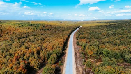 Devlet Sitesi: Alkol Fiyatları İçin En İyi Uygulamalar