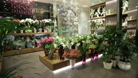 Online Çiçek Gönderiminde Güvenin Adresi: Floksia